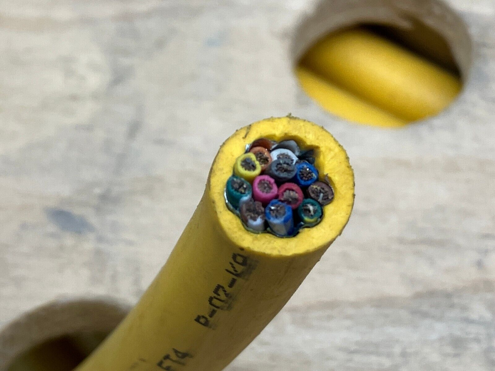 Turck RF50606 Cable 12X18 AWG Yellow PVC 600V CSA AWM I/II A/B 105C 100 FT - Maverick Industrial Sales