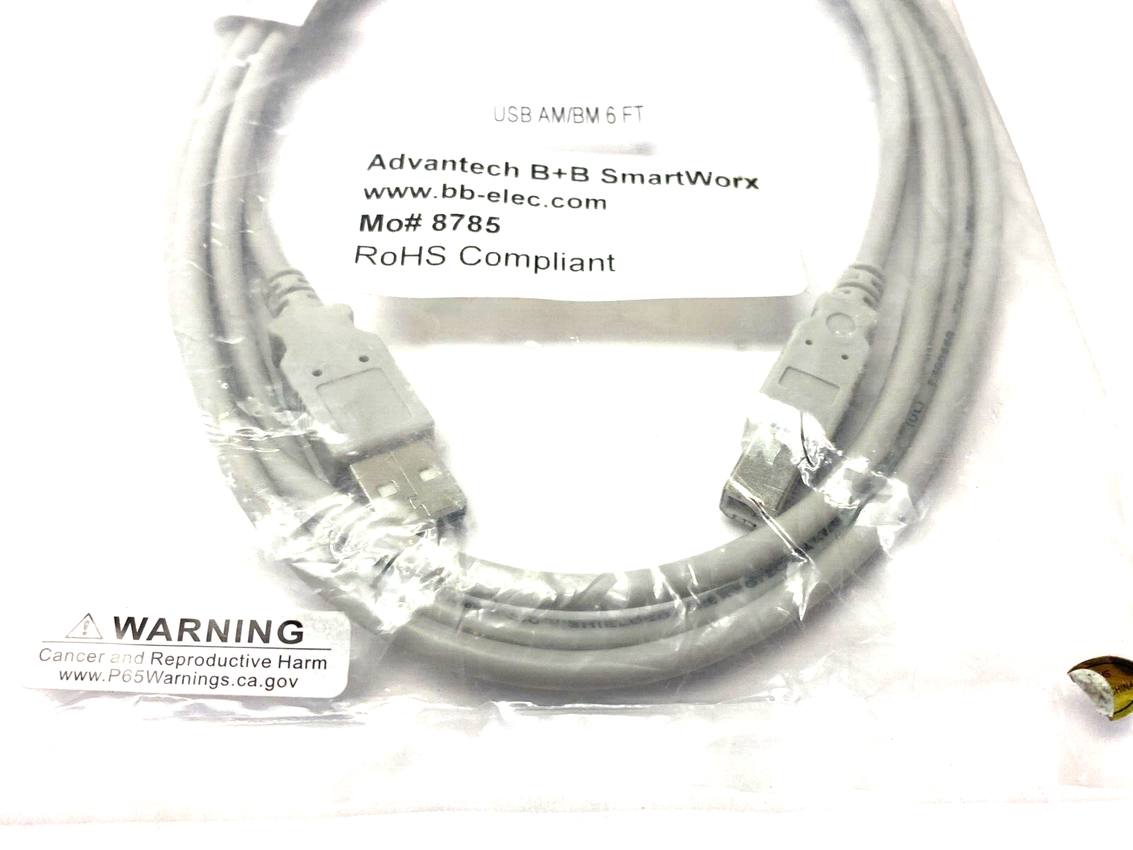 Advantech B+B SmartWorx TID 60000467 USB AM/BM Printer Cable 6' Length GRAY - Maverick Industrial Sales