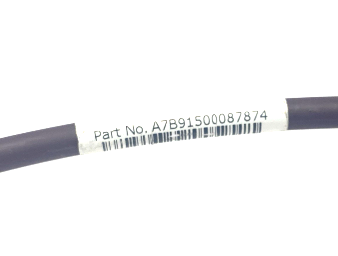 45900587