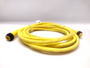 Lumberg Autormation RSRK 40-839/5M Cordset 500003209 - Maverick Industrial Sales