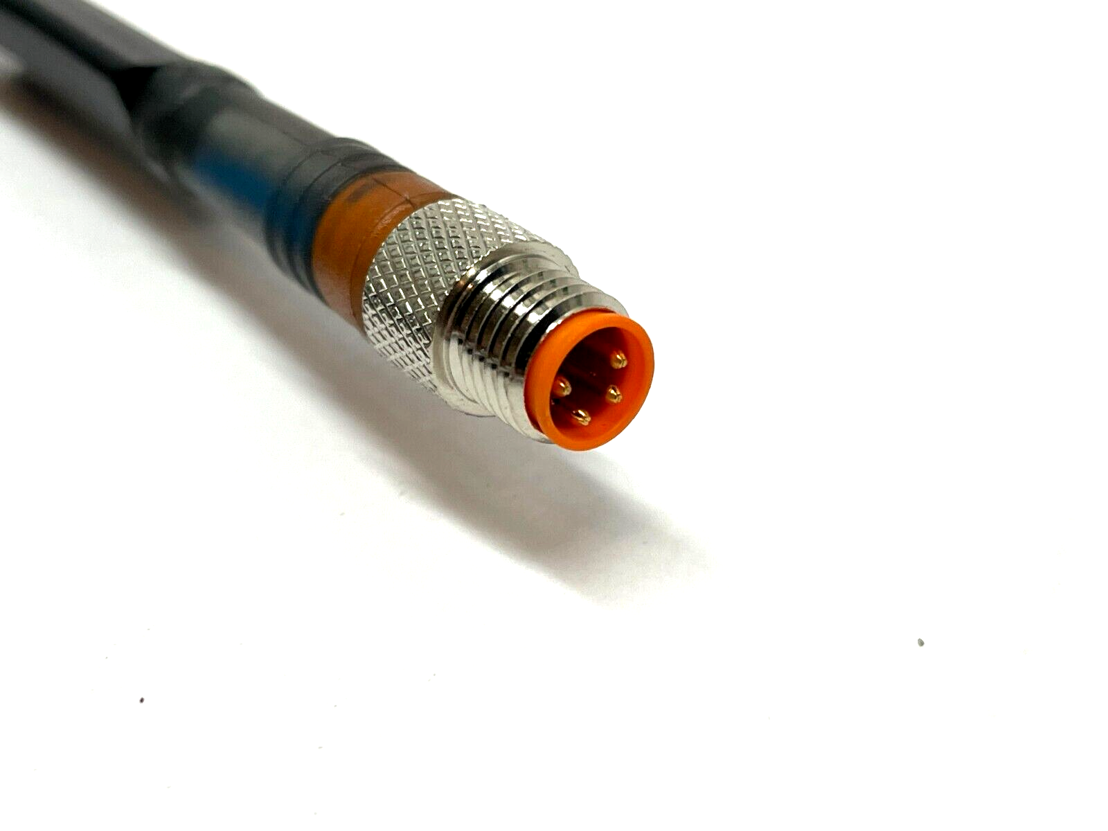 45900428