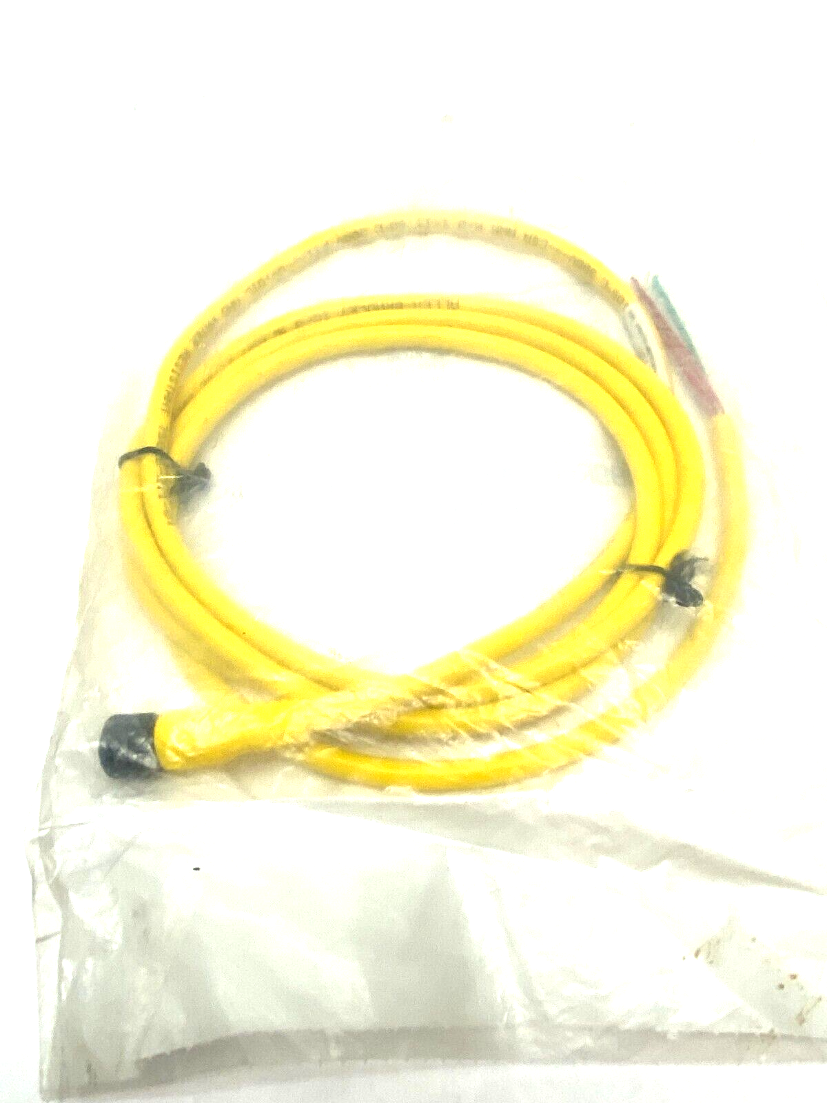 Allen Bradley 889R-F3AEA-2 Ser. B Straight AC Micro Cordset 3-Pin Female 2m - Maverick Industrial Sales