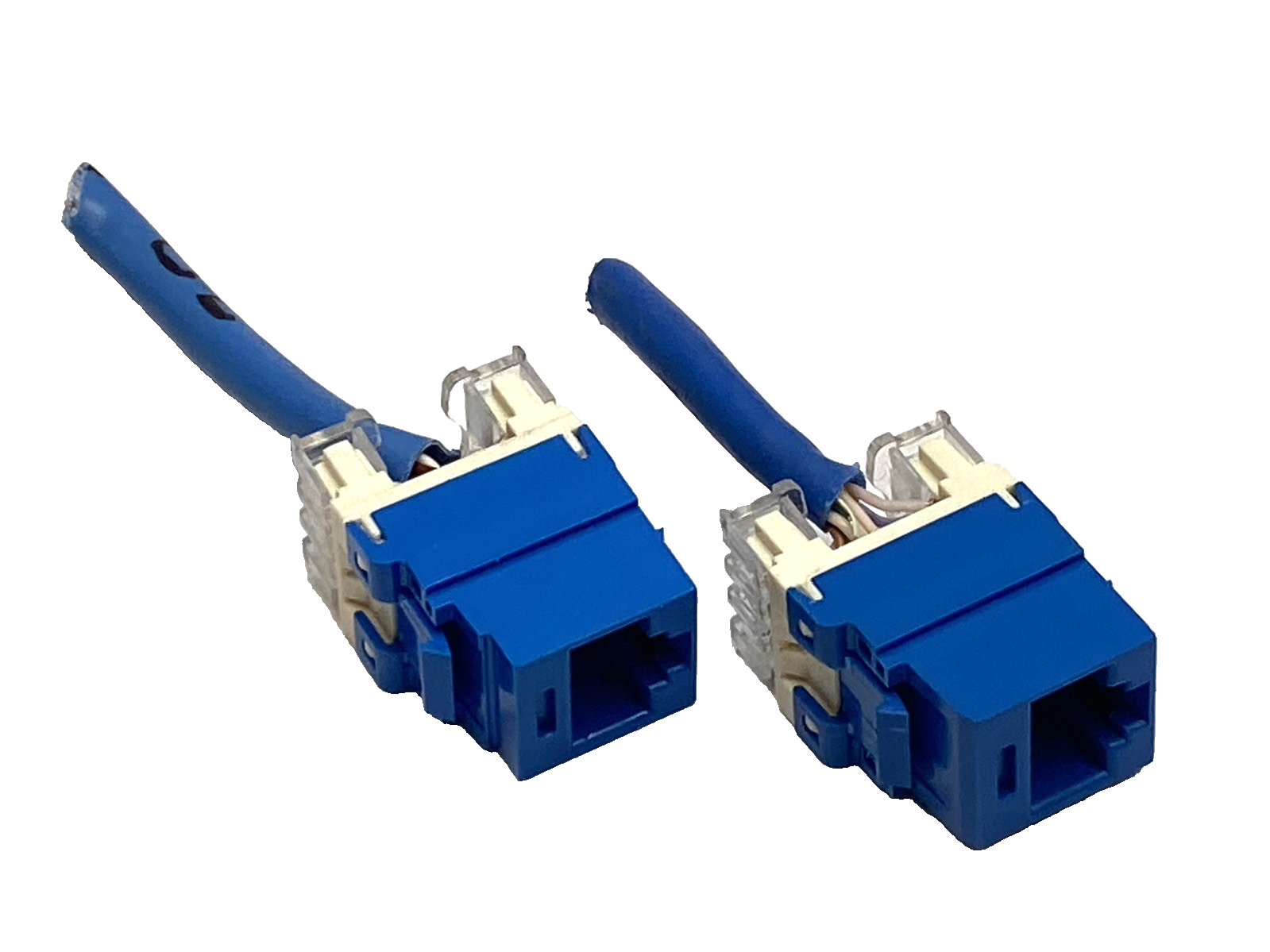 Panduit NK688MBU NetKey Cat6 RJ45 Keystone Jack, UTP Blue LOT OF 2 - Maverick Industrial Sales