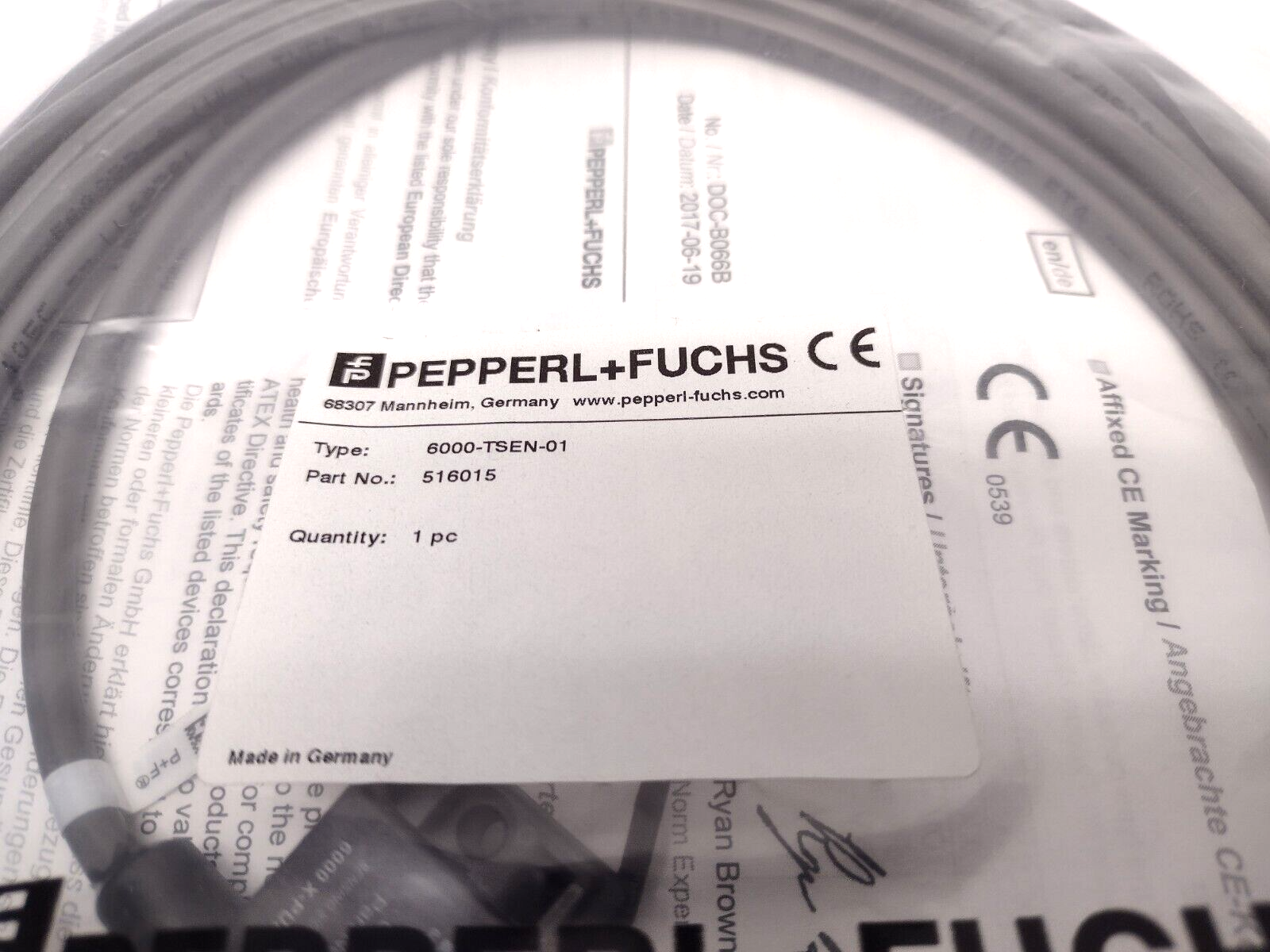Pepperl+Fuchs 6000-TSEN-01 Temperature Sensor 516015 - New - Maverick Industrial Sales