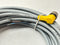 Turck WK 4.4T-10 Sensor Actuator Cable Female M12 4-Pin 10m U2435 - Maverick Industrial Sales