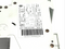 Allen Bradley 1489-A2C040 Ser. A Miniature Circuit Breaker 2P 4A - Maverick Industrial Sales