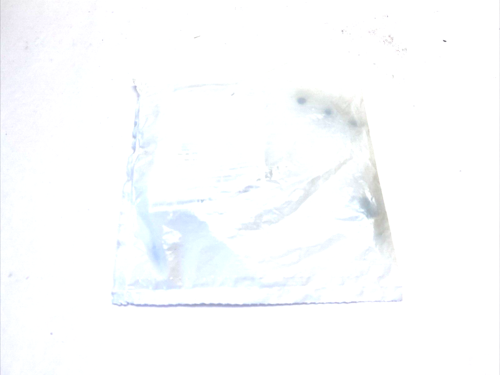 Turck HAS5131-0 Field Wireable Connector BS5136-0 Ident-No. U6578, 6905402 - Maverick Industrial Sales