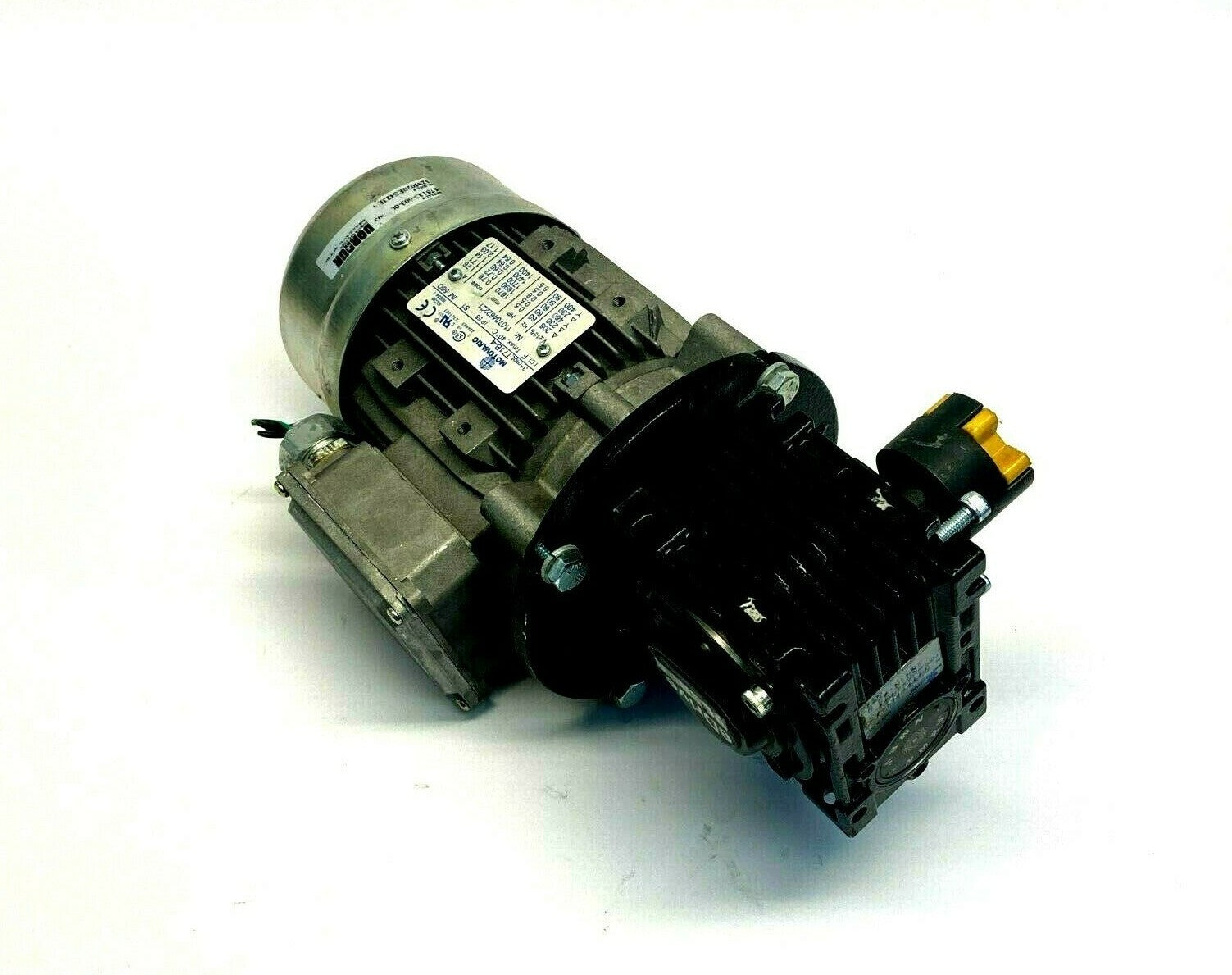 47500181