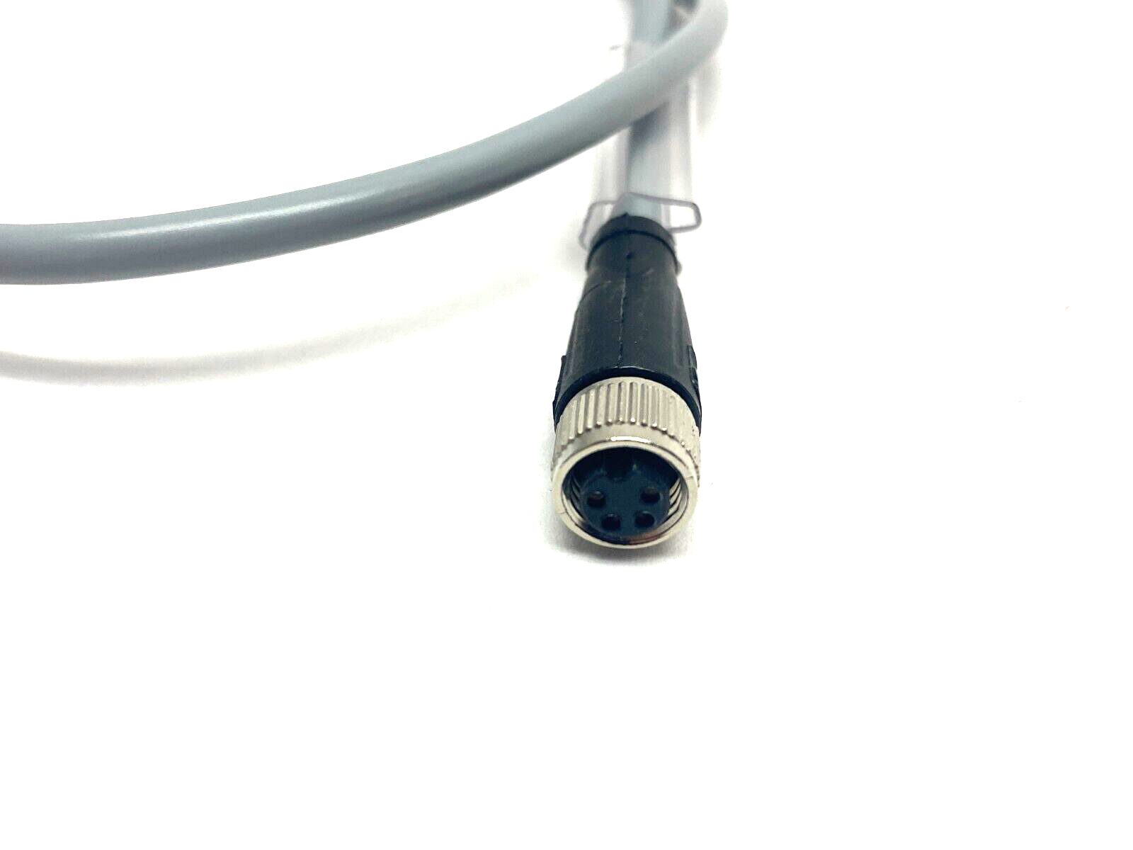 Pepperl+Fuchs V31-GM-0,6M-PVC-V31-GM Dbl-Ended Connection Cordset 240813-0008 - Maverick Industrial Sales