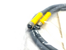 Turck VBRS 4.4-2PKGC 4M-0.6/0.6/S1784 Splitter Junction Cordset U-88762 - Maverick Industrial Sales