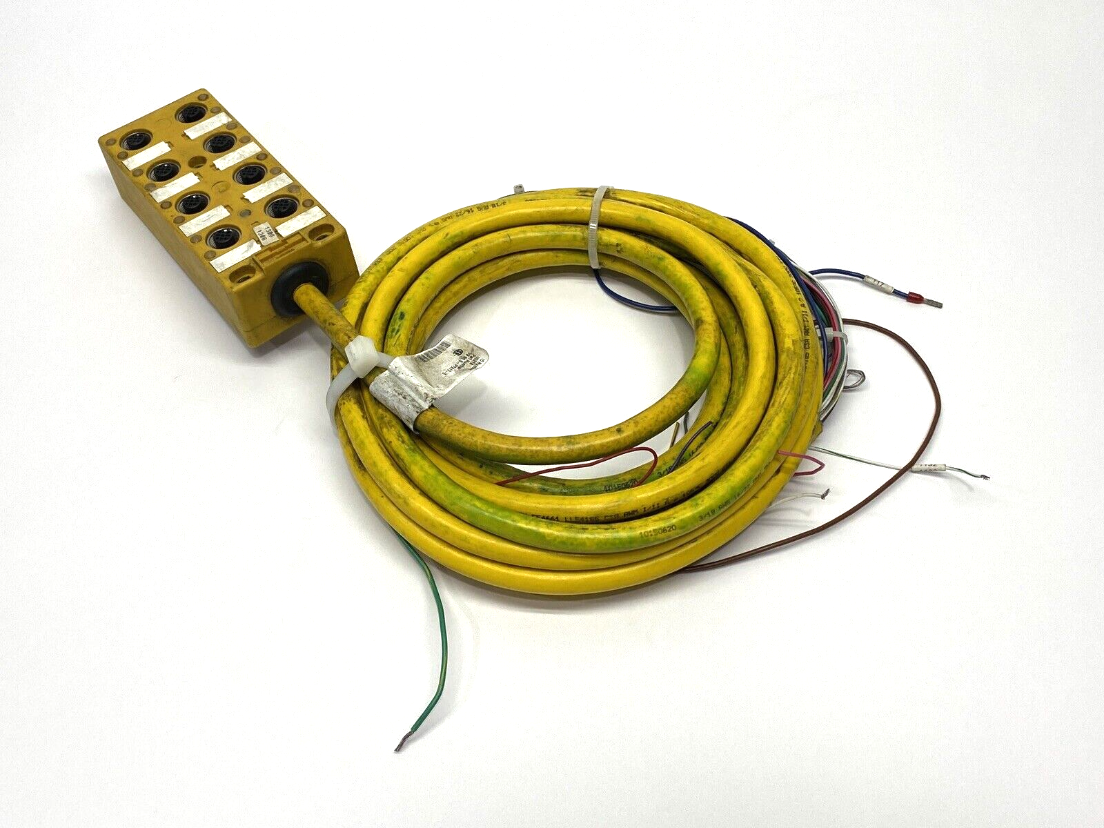 Turck VB 80.5-P7X17-5 Junction Box M12 8-Port U0218 12' CUT CABLE - Maverick Industrial Sales