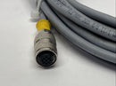 Turck RK 4.5T-6 Actuator Sensor Cable Female M12 5-Pin 6m U2189 - Maverick Industrial Sales