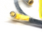 Turck PKW 3M-1-WS 4T/S90 Cable M8 Female 3-Pin M8 - Angle Male M12 4-Pin U0070-9 - Maverick Industrial Sales