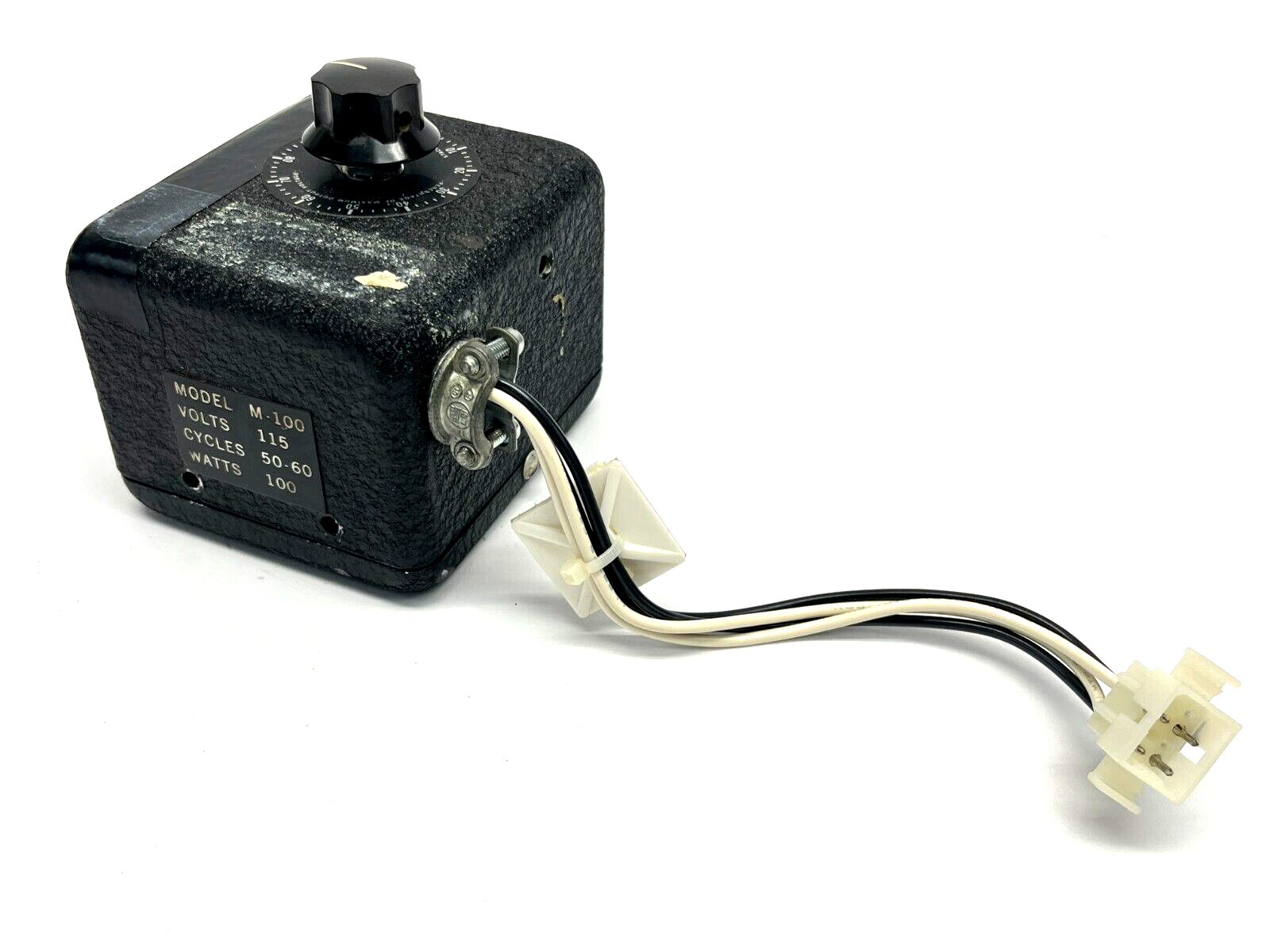 45040981