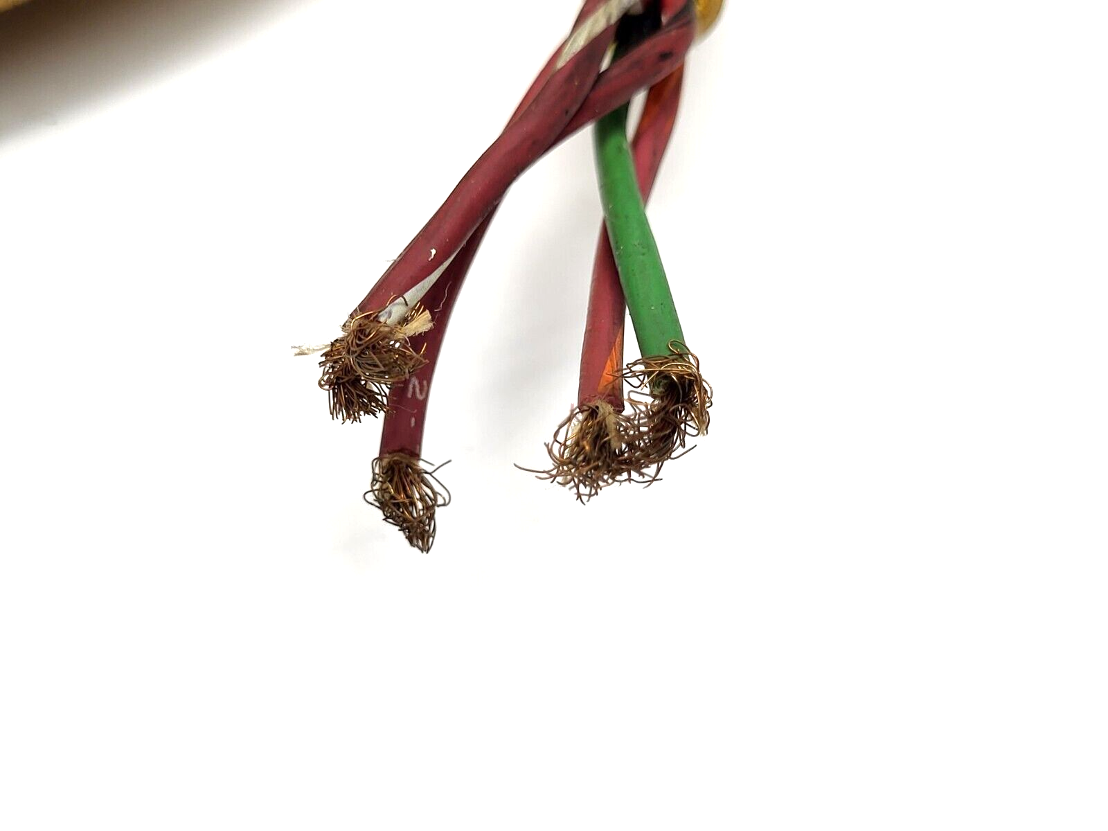 Brad Harrison 105000C01F200 5-Pin Female Connector 2' Cable - Maverick Industrial Sales