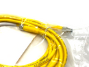 Turck PKG 3M-3.2-PSG 3M Picofast Double Ended Cordset U-83783 - Maverick Industrial Sales