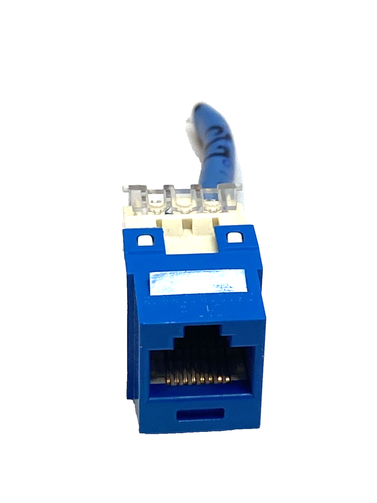 Panduit NK688MBU NetKey Cat6 RJ45 Keystone Jack, UTP Blue LOT OF 2 - Maverick Industrial Sales