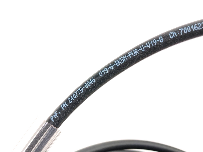 Pepperl+Fuchs V19-G-BK5M-PUR-U-V19-G Connection Cordset M12 8-Pin 5m 240775-0046 - Maverick Industrial Sales