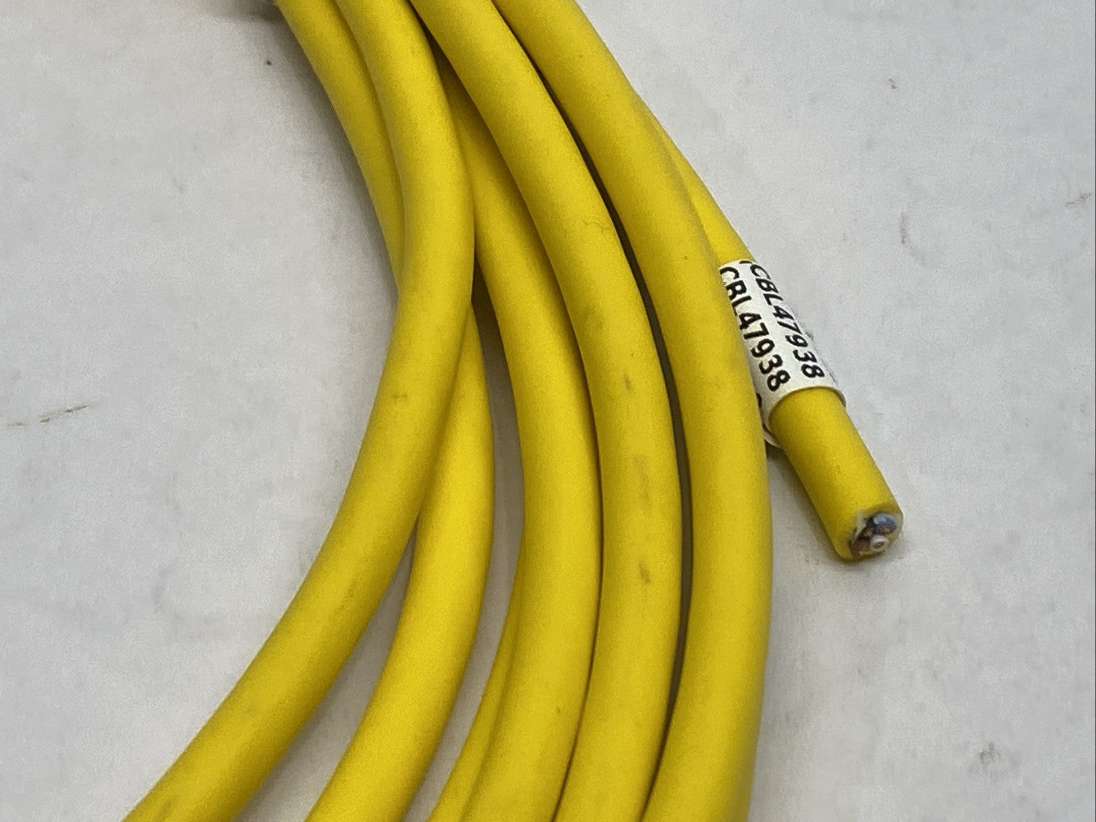 Lumberg Automation RKT 4-633/5M Sensor Actuator Cordset F M12 4-Pin 12ft Length - Maverick Industrial Sales