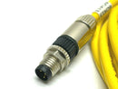 Turck PKG 4M-10 Sensor Cordset 8ft Length U99-10780 - Maverick Industrial Sales