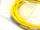 Turck PSG 4M-4 Pico Fast Cordset U99-11357 - Maverick Industrial Sales