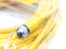 Turck RKC 4.4T-10 Actuator & Sensor Cable M12 4-Pin Female 10m U5303 - Maverick Industrial Sales