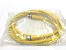 Turck RKC 4.5T-2-RSC 4.5T/CS10288 Eurofast Cordset U0883-71 - Maverick Industrial Sales