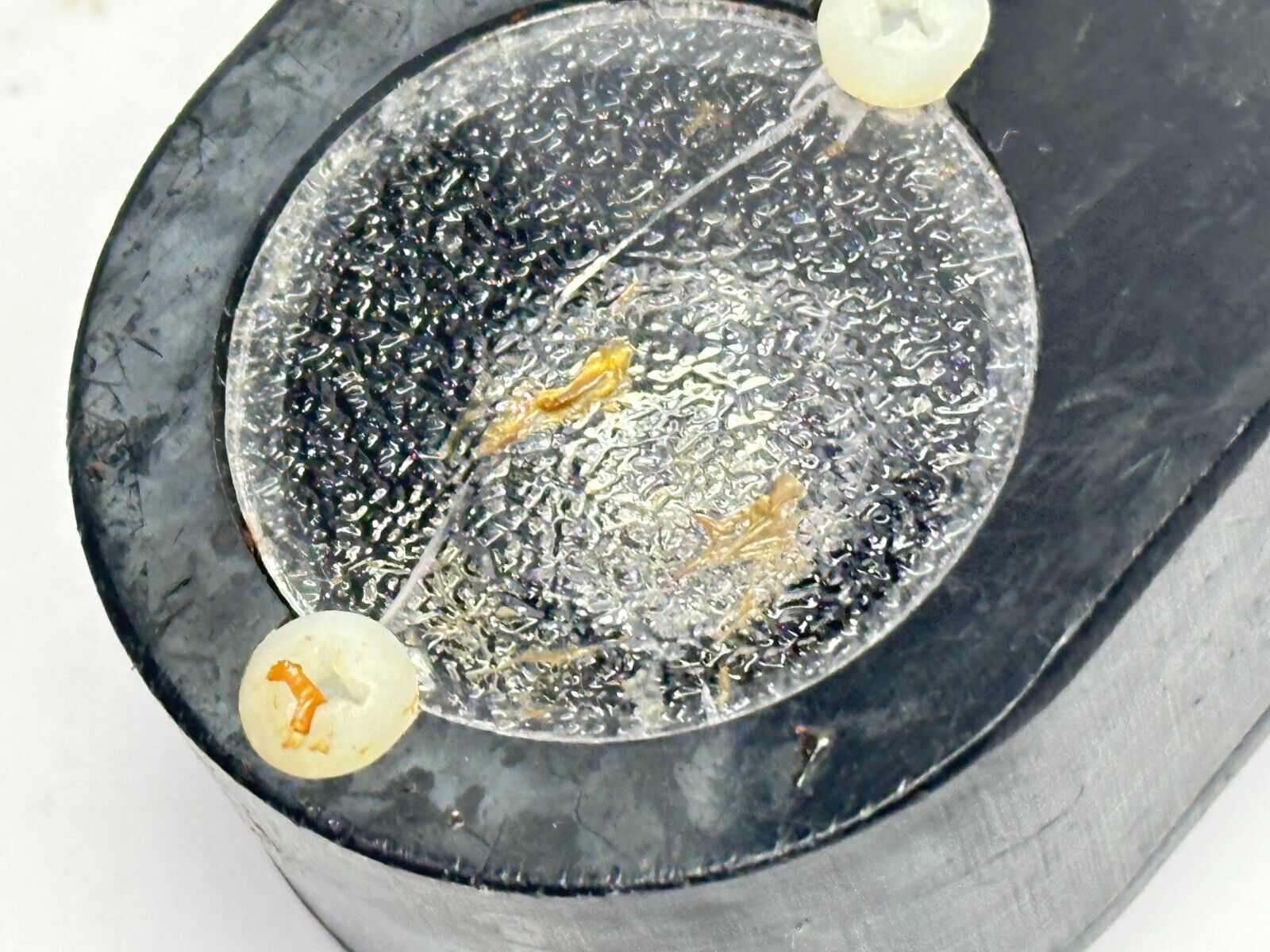 Spectrum Illumination SP1.25-470 Monster Light Blue LED Spot Light CRACKED LENS - For parts or not working - Maverick Industrial Sales