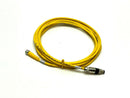 Turck PKG 3M-10 Cordset 9ft Length U2515-22 - Maverick Industrial Sales