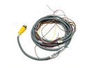 Turck RKC 8T-4 Eurofast Cordset M12 Female 8-Pin - Flying Leads 80" U5311-64 - Maverick Industrial Sales