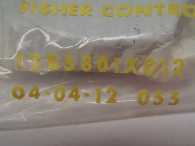 Fisher 12B5801X012 Packing, Ring Low Chloride - Maverick Industrial Sales