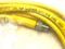 Turck PSG 4M-3 Single Ended Cordset 3m Length U2-02830 - Maverick Industrial Sales