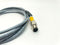 Turck RK 4.4T-2-RS 4.4T/S101/CS12047, M12 Male to M12 Female Cable, U-33605 - Maverick Industrial Sales