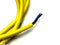 Lumberg Automation RKMV 3-593/2 Single-Ended Cordset M8 3-Pin Connector 2m 11079 - Maverick Industrial Sales