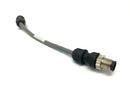 RFID Inc. 730-0033-8IN Cordset M12 Male to Female Connectors - Maverick Industrial Sales