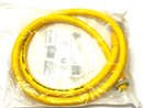 Balluff BCC A315-A315-30-335-VX45W6-010 Double Ended Cordset 5-Pin BCC0K0Z - Maverick Industrial Sales