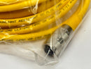 Turck RK 4.4T-6/S1587 Single-Ended Cordset Straight Female Connector U-02030 - Maverick Industrial Sales