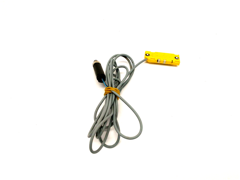 Turck BC10-QF5,5-AN6X2 Capacitive Sensor 6.5' Length 2620121 - Maverick Industrial Sales