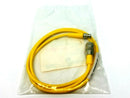 Turck RK 4T-1-PSG 3M Actuator and Sensor Double-Ended Cordset U2151-21 - Maverick Industrial Sales