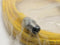 Turck RS 4.43T-6 EuroFast Cable Cordset U99-12222 - Maverick Industrial Sales