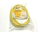 Turck RKC 4.5T-2-RSC 4.5T/CS10288 Eurofast Cordset U0883-71 - Maverick Industrial Sales