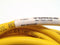 Turck PKGC 4M-6/S1587 Pico Fast Cordset Cable Assembly U-43651 - Maverick Industrial Sales