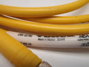 Turck PKG 4M-10 Pico Fast Cordset U99-10780 Approx 6' Foot Long - Maverick Industrial Sales