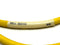 Turck WSM 61-1M/CS11512 Cordset 1m Length U-09687 - Maverick Industrial Sales