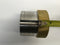 Brass/Stainless Vacuum Quick Connect Coupling, Approx. 2” ID - Maverick Industrial Sales