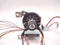 Zebra 44197-102 Ribbon Supply Motor - Maverick Industrial Sales