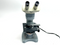 American Optical Fifty Phase Microscope w/ Binocular Head - Maverick Industrial Sales