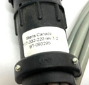 Steris 117-032-220 Rev. 1.2 Double Ended Cordset 7-Pin to 8 Solenoid Plug-Ins - Maverick Industrial Sales