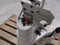Yamaha YK500X High Speed Scara Robot SER KN4-2Y5759 - Maverick Industrial Sales