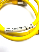 Turck RSM RKM 50-1M Minifast Cordset 1m Male to Female Connector U2282-01 - Maverick Industrial Sales